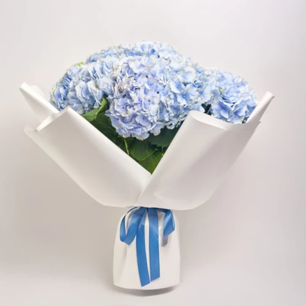 Blue hydrangea bouquet wrapped in white paper with a matching blue ribbon