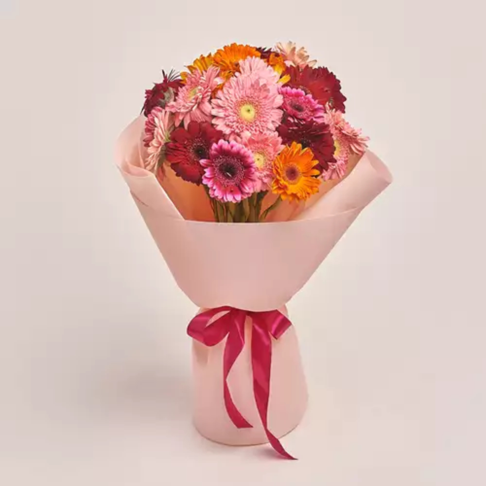 A full bouquet of mixed gerbera daisies in pink, burgundy, and orange, wrapped in blush pink paper and tied with a magenta satin ribbon.