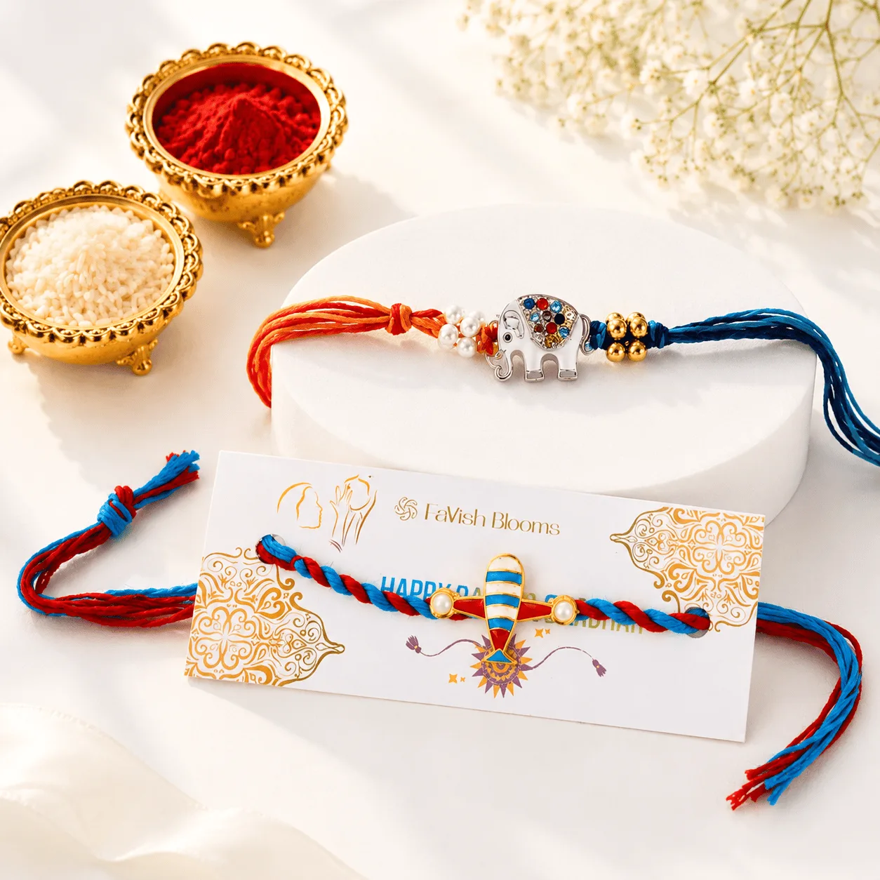 Aeroplane and Elephant Kids Rakhi Set featuring colourful cartoon designs for Raksha Bandhan.