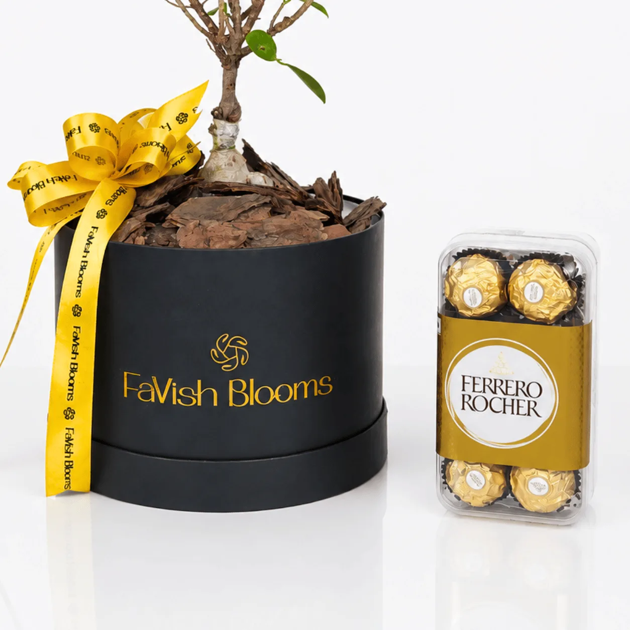Premium bonsai plant and Ferrero Rocher gift set for birthdays and special occasions