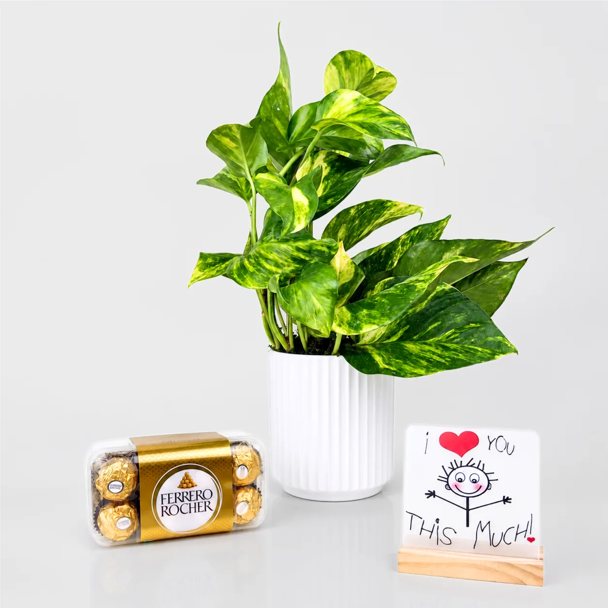 Money Plant with love message plaque and Ferrero Rocher chocolates in a premium gift set