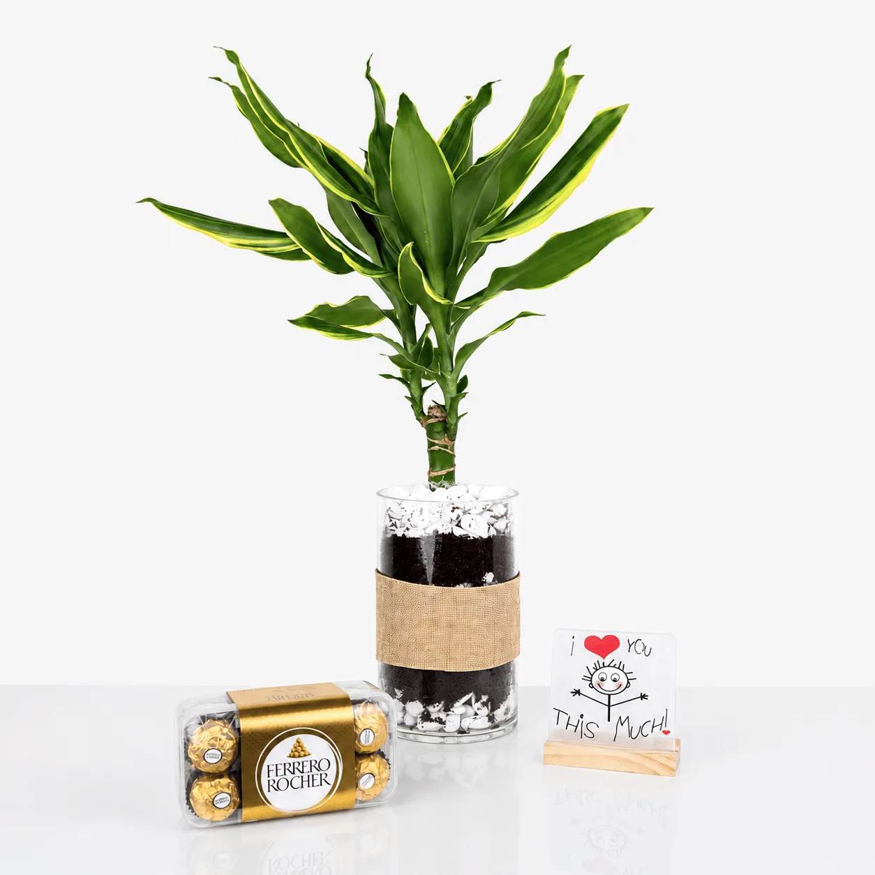 Dracaena plant with love message plaque and premium chocolates in a romantic gift set