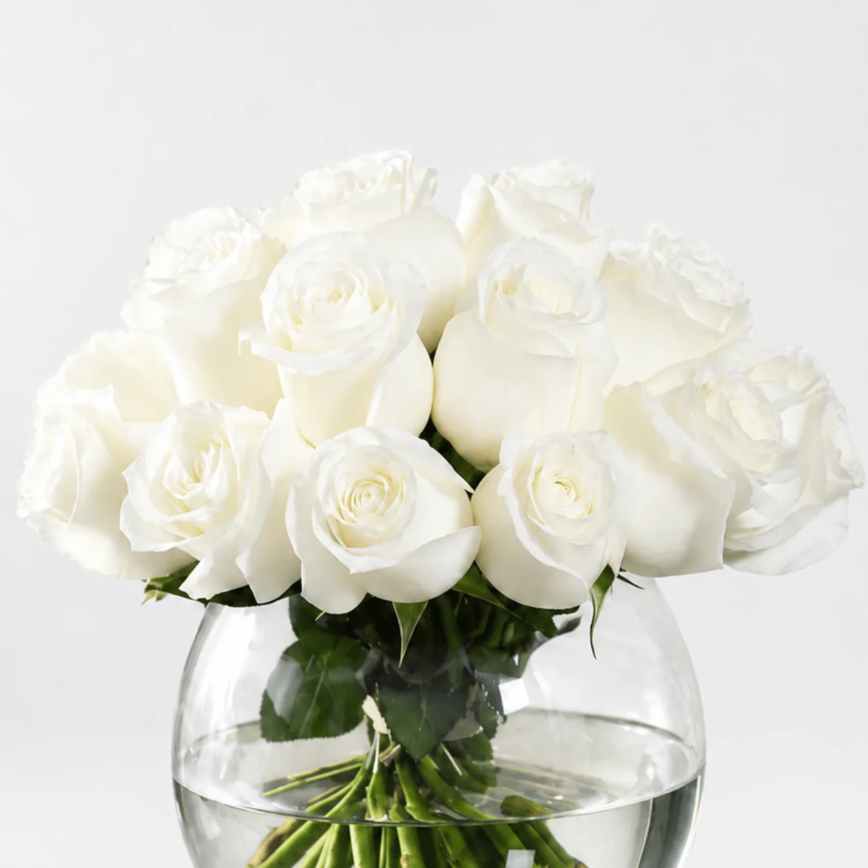 31 White Roses in Glass Fish Bowl for birthdays, sympathy and special occasions