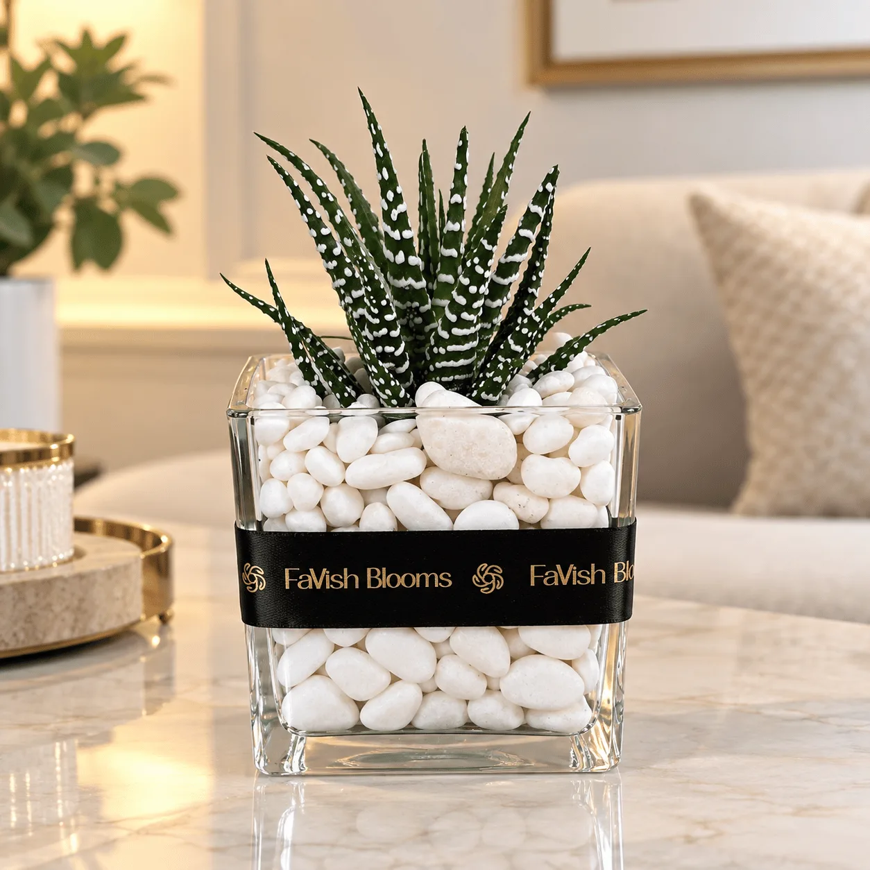 Green Zebra Succulent in Transparent Glass Vase