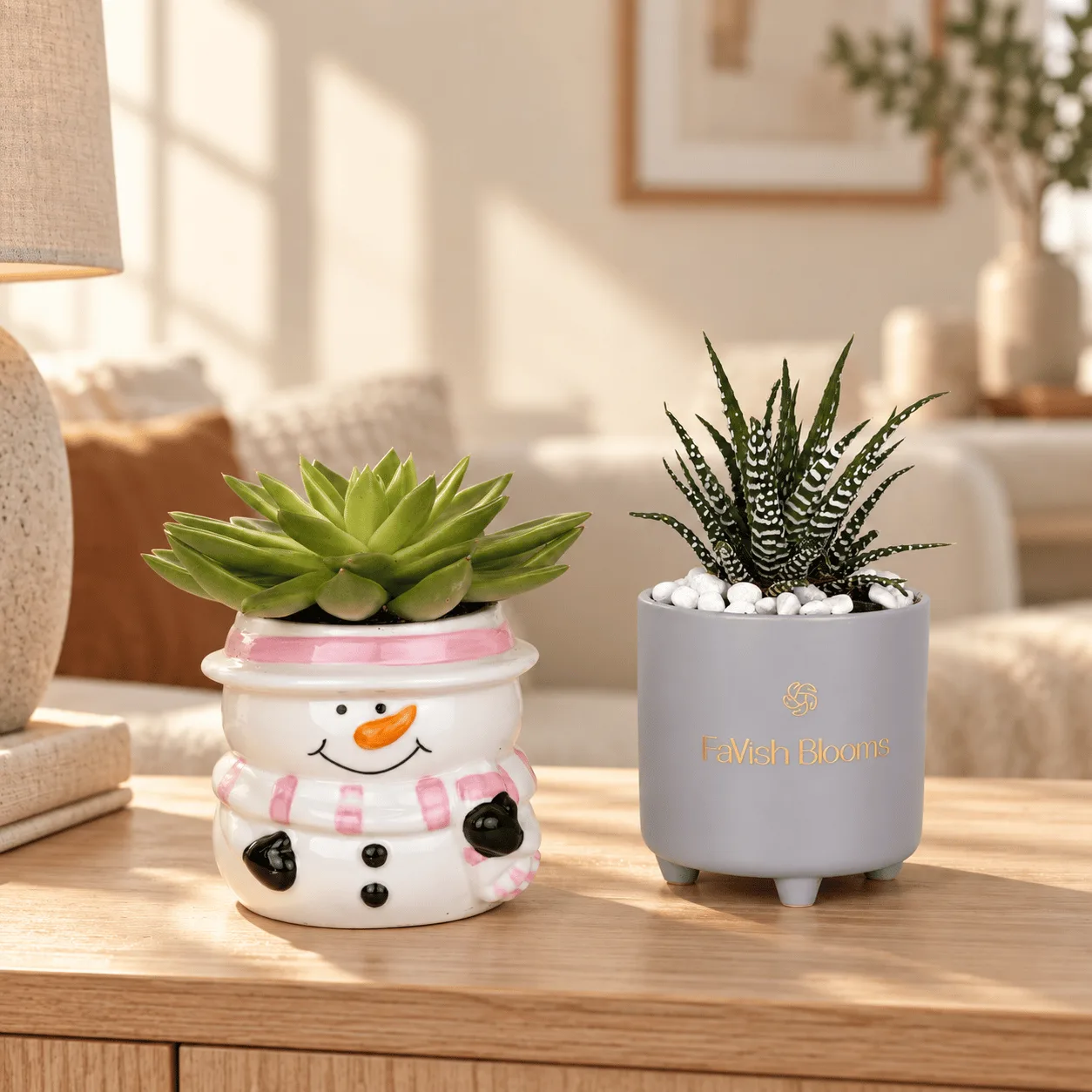 Elegant Succulent Duo in Decorative Ceramic Pots – A Stylish Indoor Plant Gift in Dubai