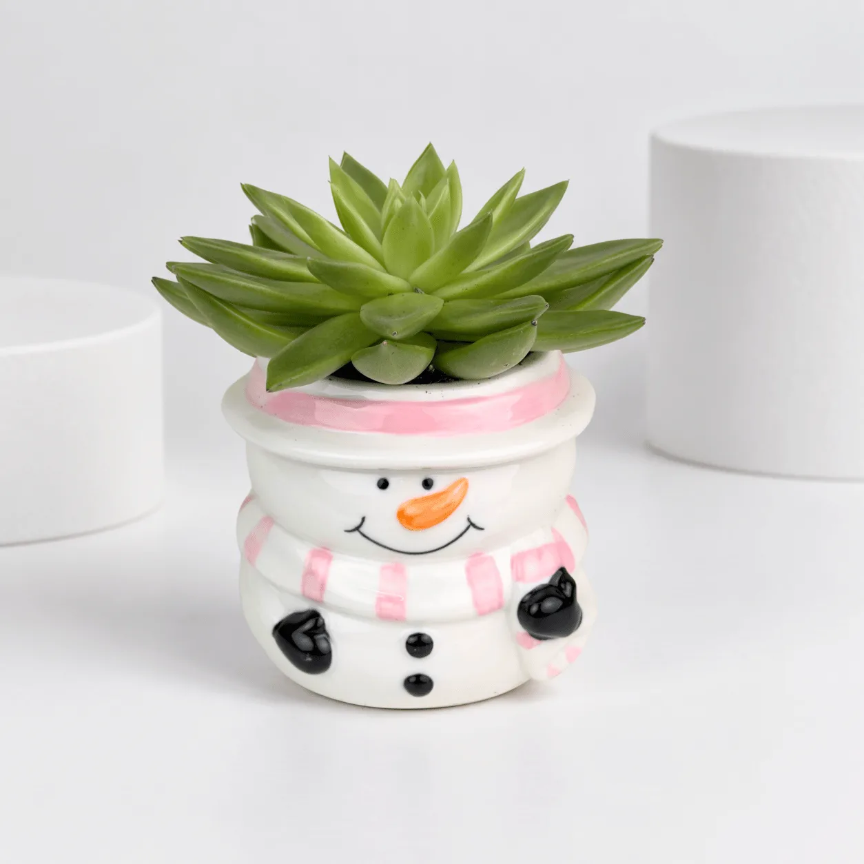Green Succulent in Snowman Ceramic Pot