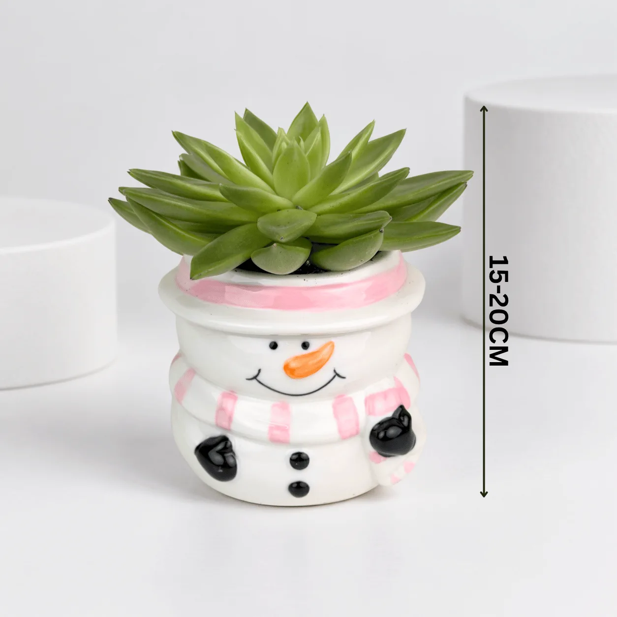 Charming Succulent in Snowman Pot