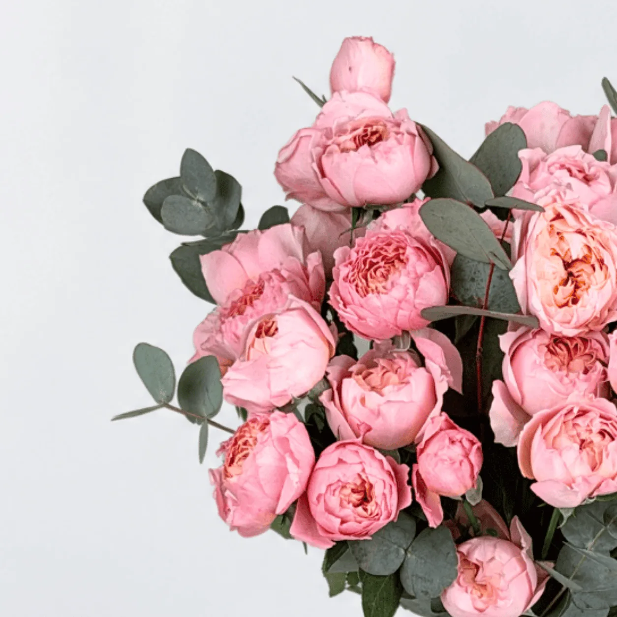 Beautiful vase arrangement of Juliette spray roses for romantic surprises and elegant gifting in Dubai.