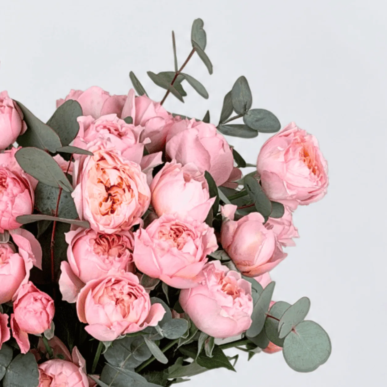 Fresh Juliette spray roses beautifully arranged in a vase for memorable celebrations in Dubai.