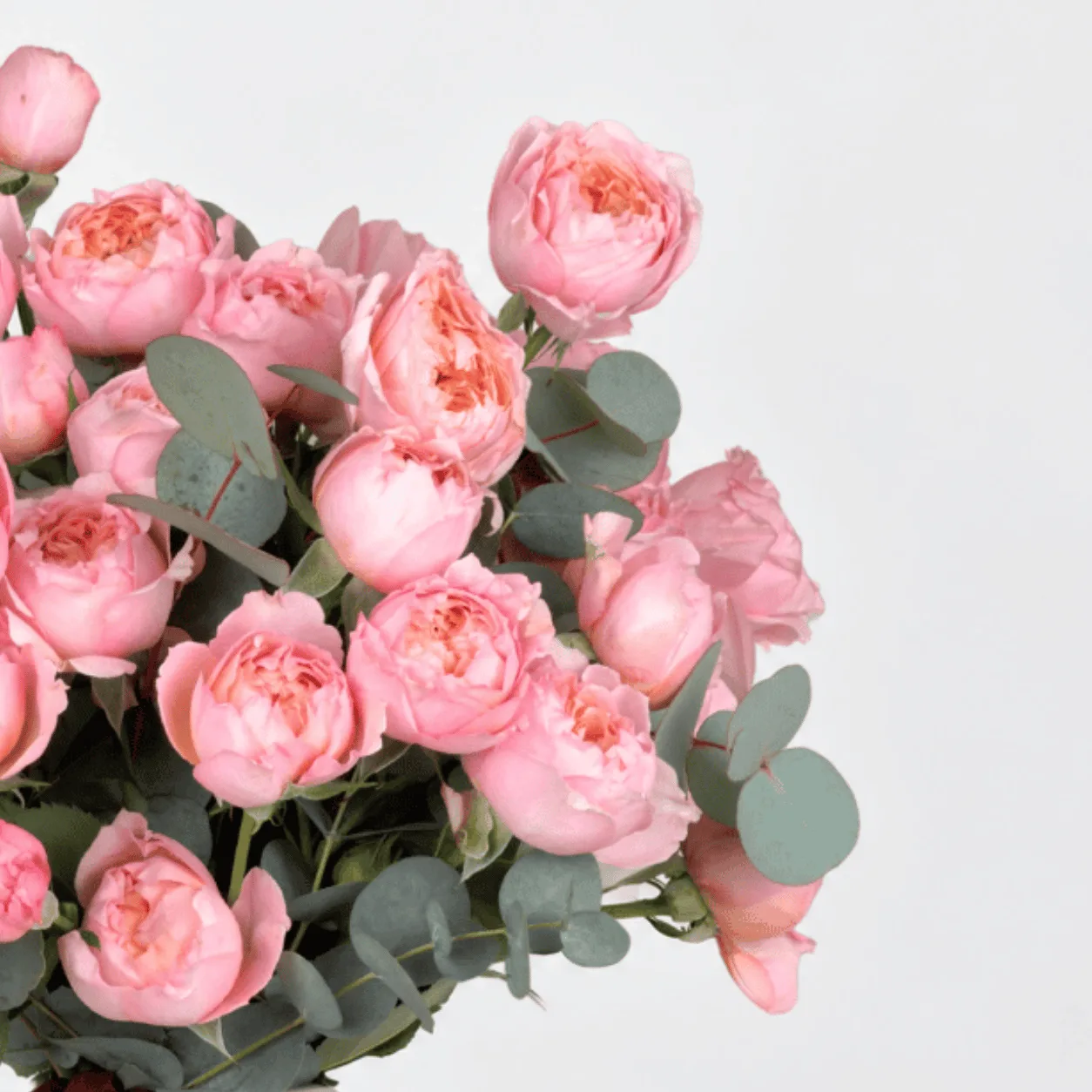 Fresh Juliette spray roses presented in an elegant vase for special celebrations in Dubai.