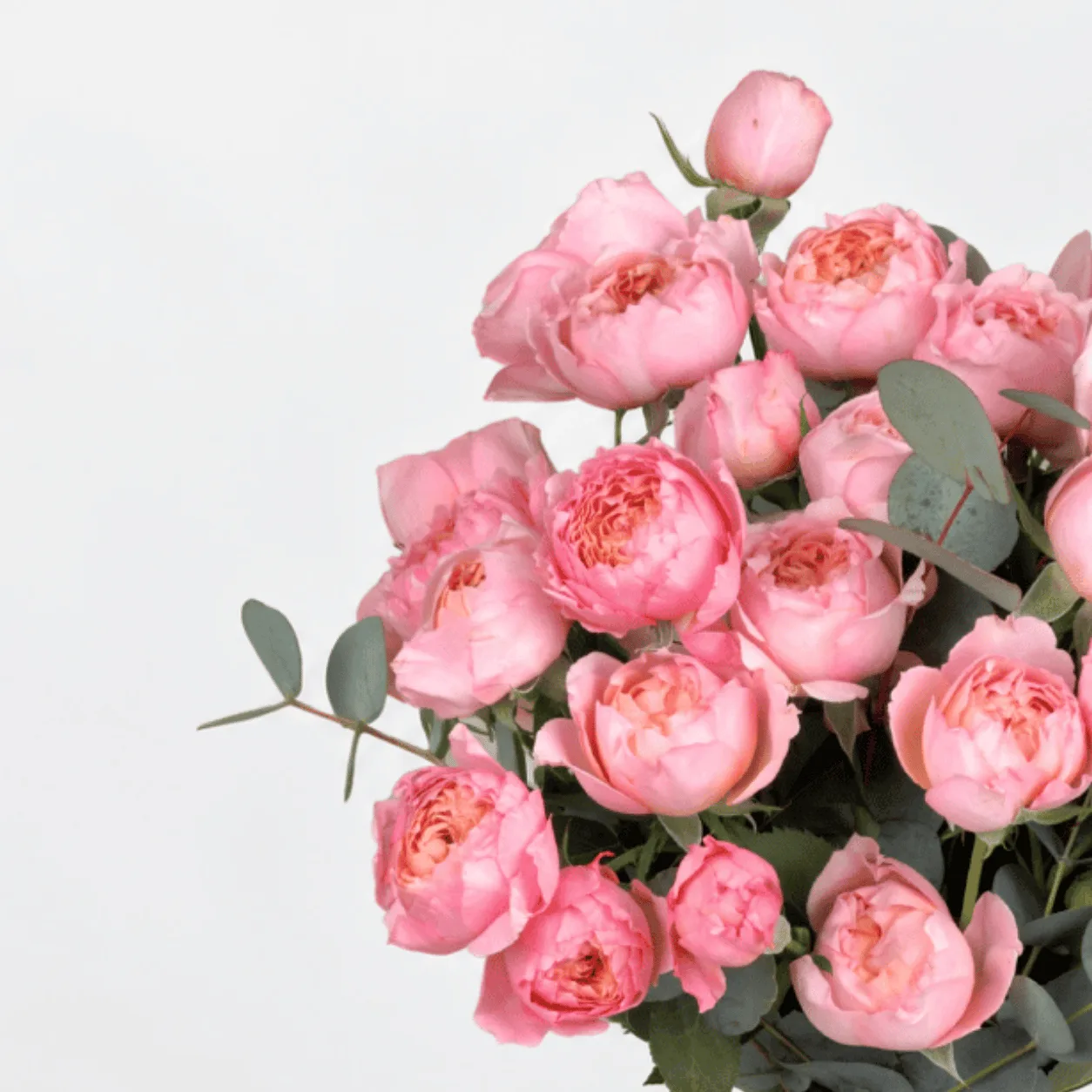1. Premium Juliette spray roses beautifully arranged in a vase by FaVish Blooms Dubai.