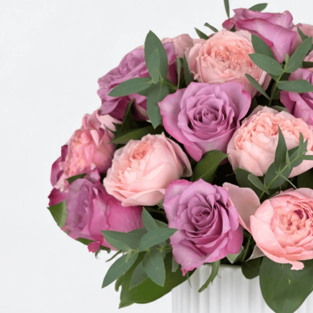 Purple Majesty rose arrangement with fresh foliage in a white pot for romantic surprises.