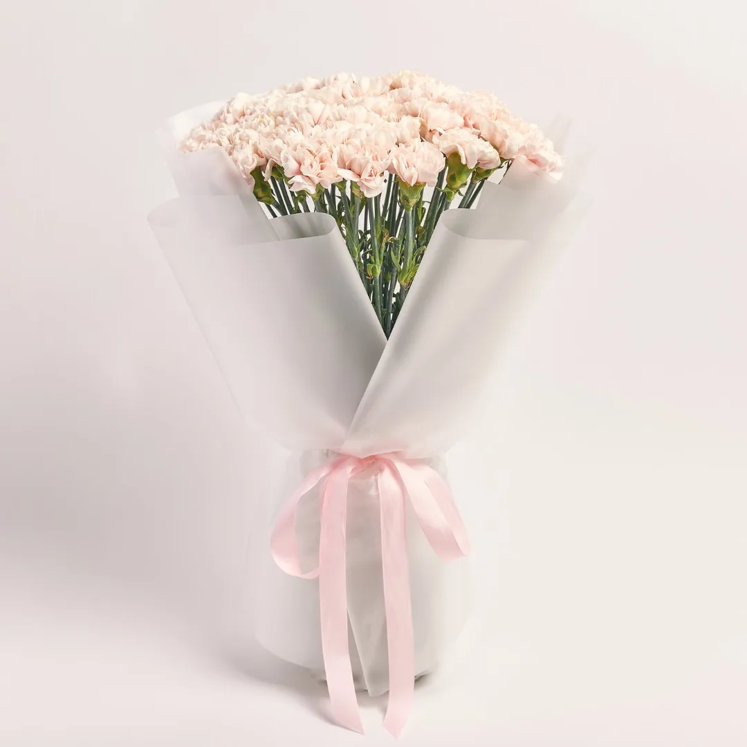 Soft white carnation bouquet wrapped in clear paper with a pink ribbon