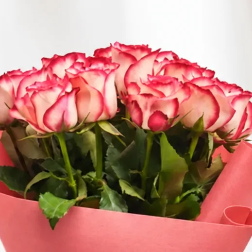 19 Roses Paloma Bouquet by FaVish Blooms for birthdays and special occasions