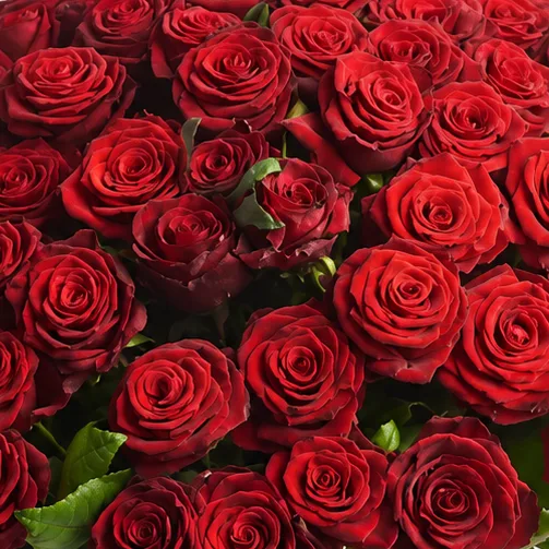 Elegant 101 Red Rose Grand Prix Bouquet for romantic flower gifting in Dubai
