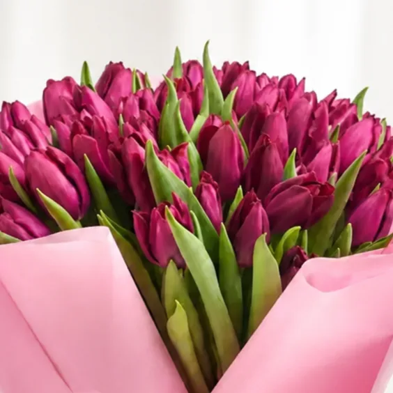 51 Purple Tulip Bouquet arranged beautifully for luxury flower gifting