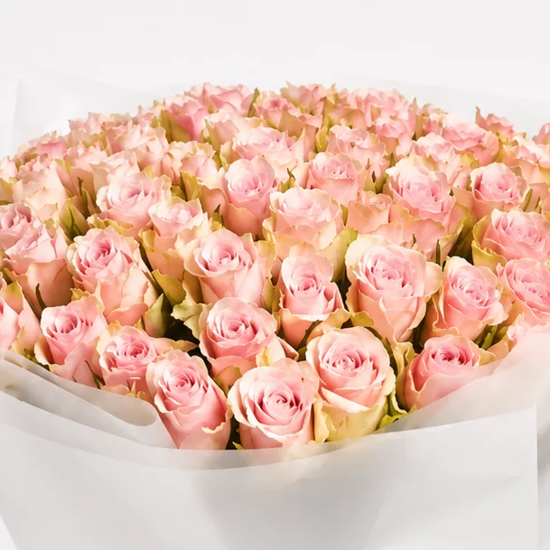 Luxury 75 pink roses bouquet arranged beautifully for birthdays, anniversaries, and romantic gifts