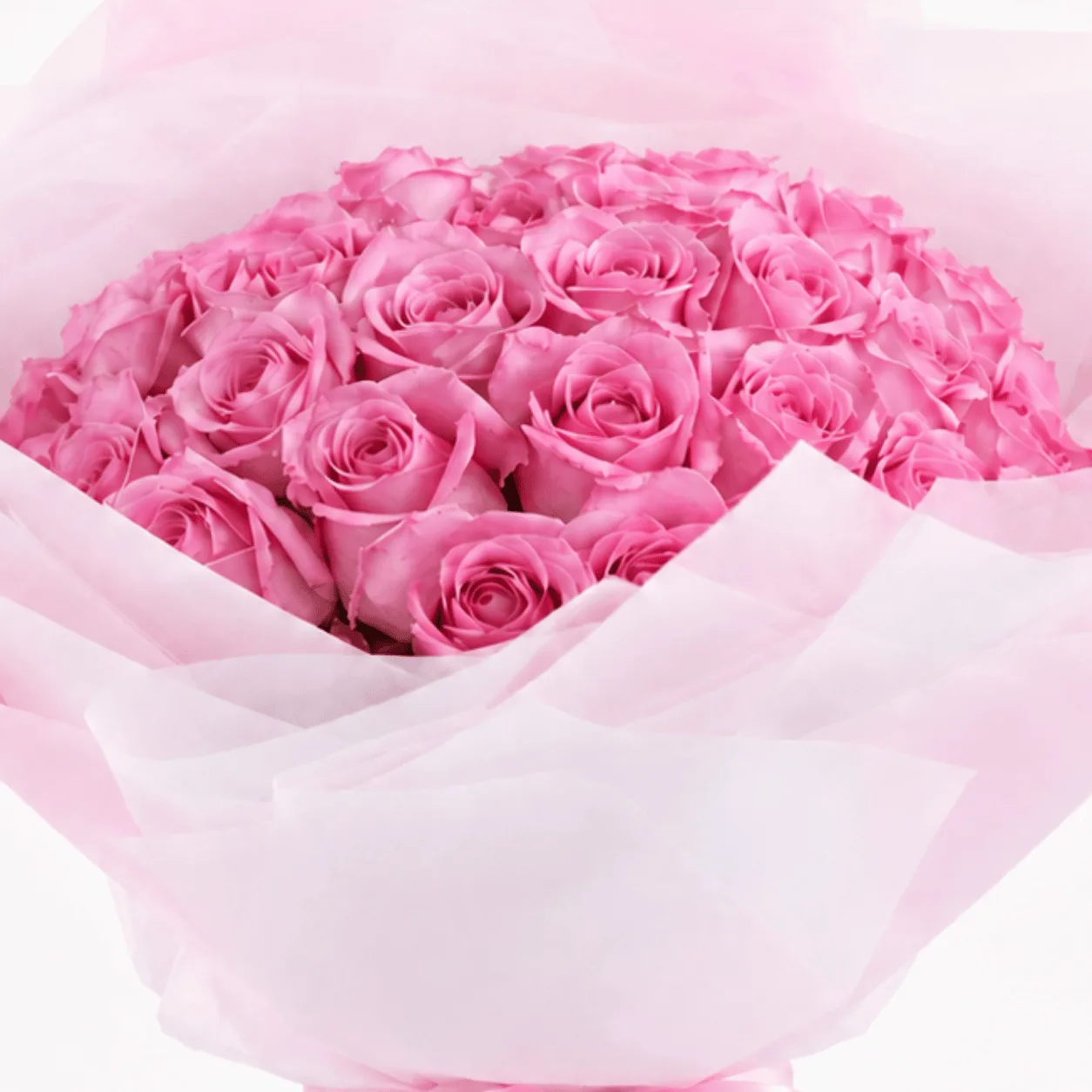 Elegant 25 Pink Rose Bouquet