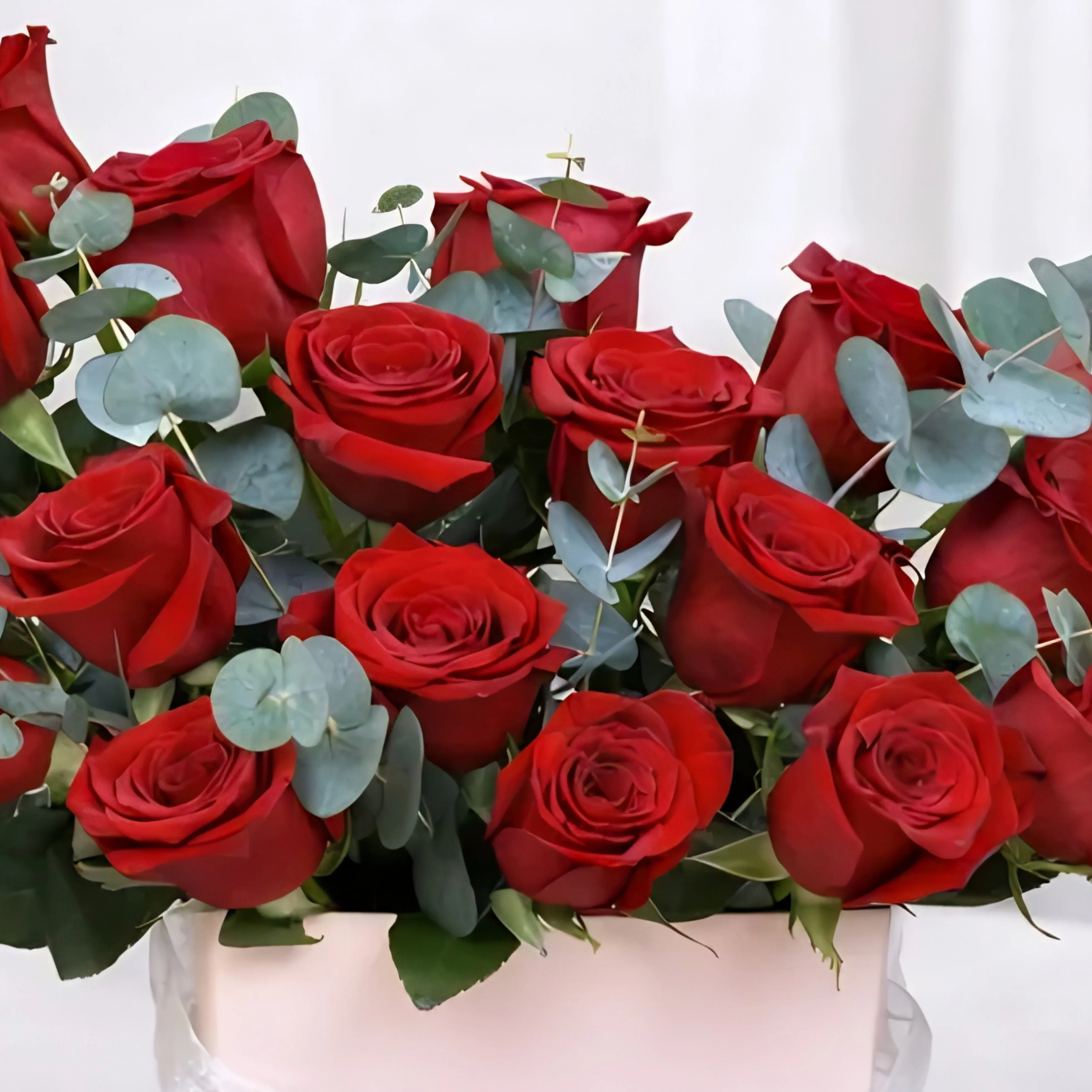Love Bound 25 Red Roses Box