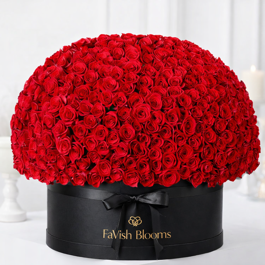 Large dome of red roses in black luxury flower box