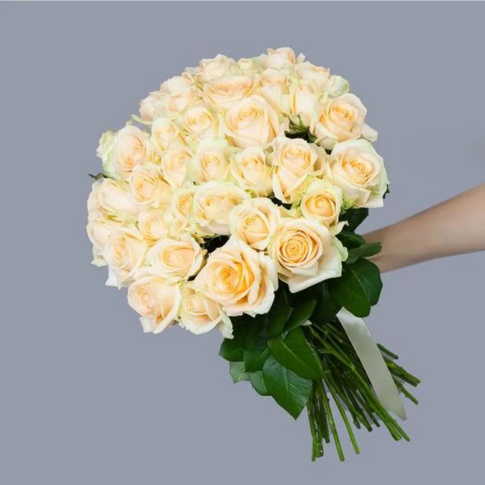 Hand holding a large bouquet of cream roses tied with a white ribbon against a grey background.