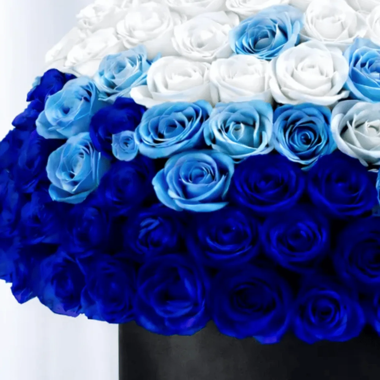 Arctic Blue Majesty