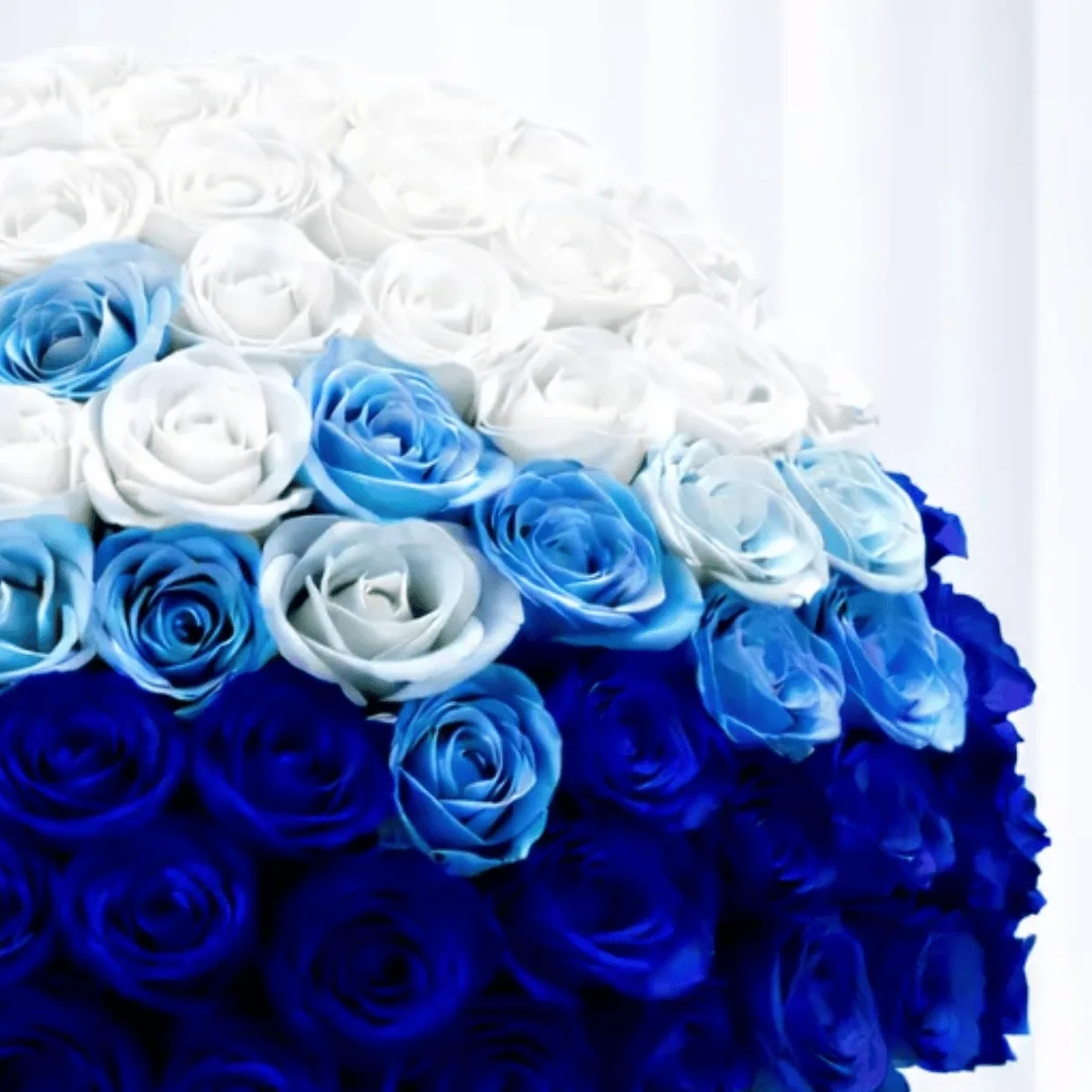Arctic Blue Majesty