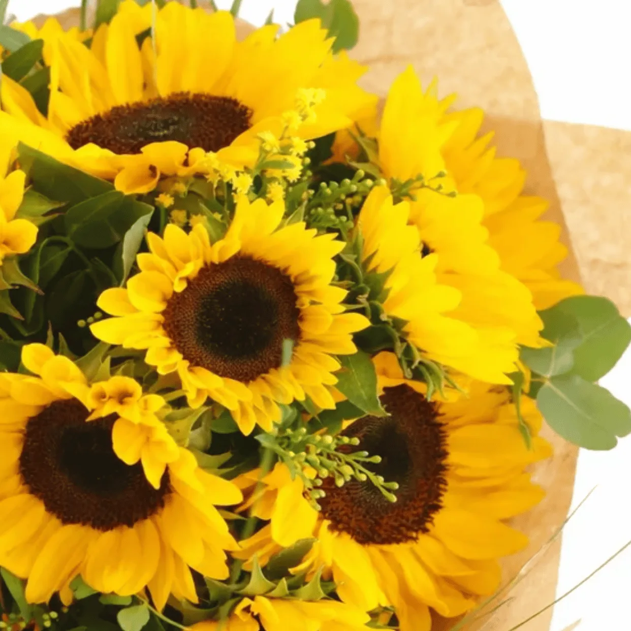 Sunny Glow 13 Sunflower Bouquet