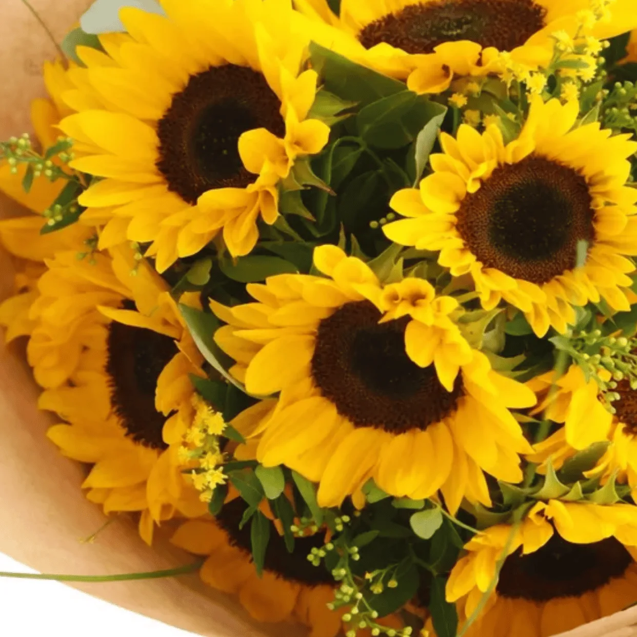 Sunny Glow 13 Sunflower Bouquet