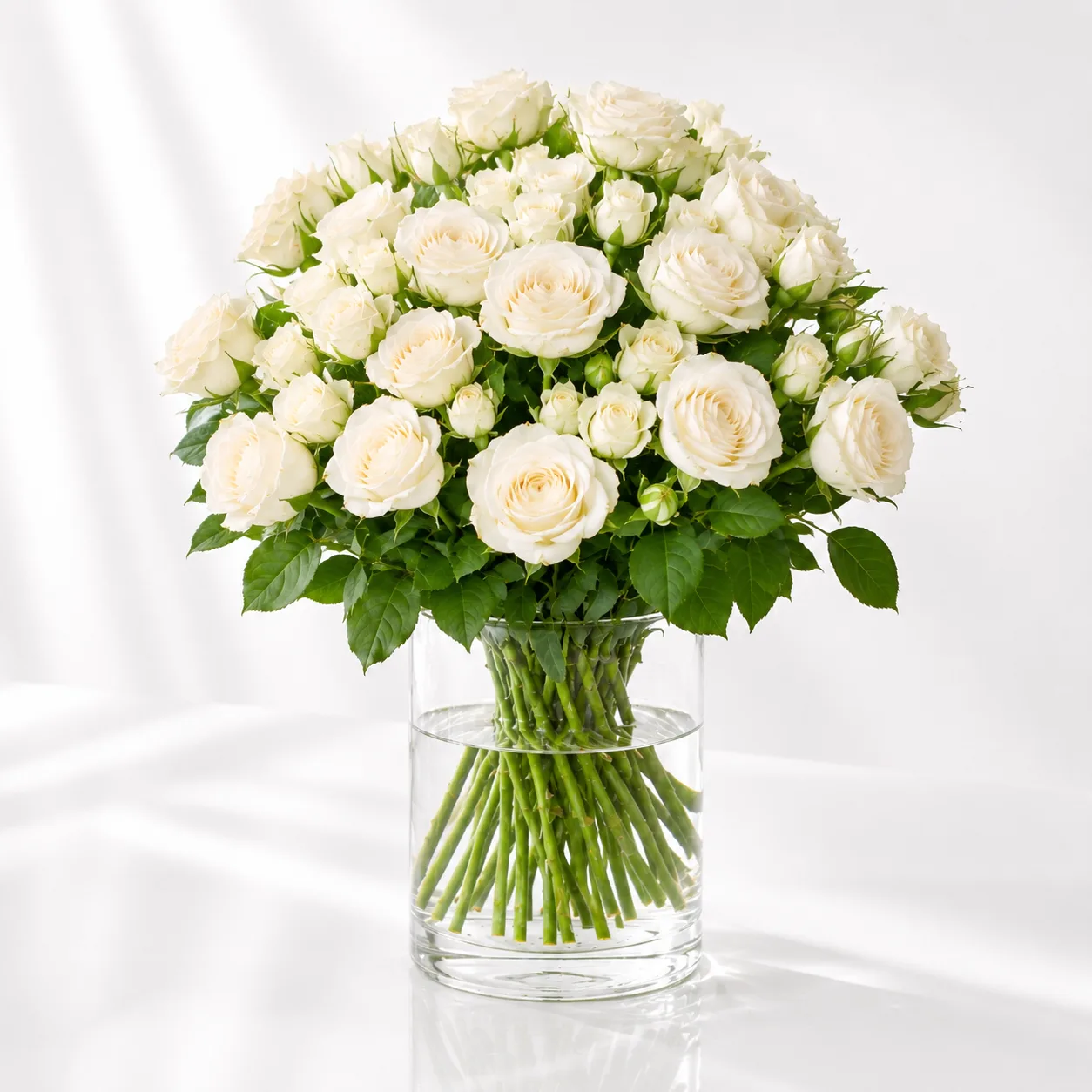 21 fresh white spray roses in a stylish vase for luxury gifting