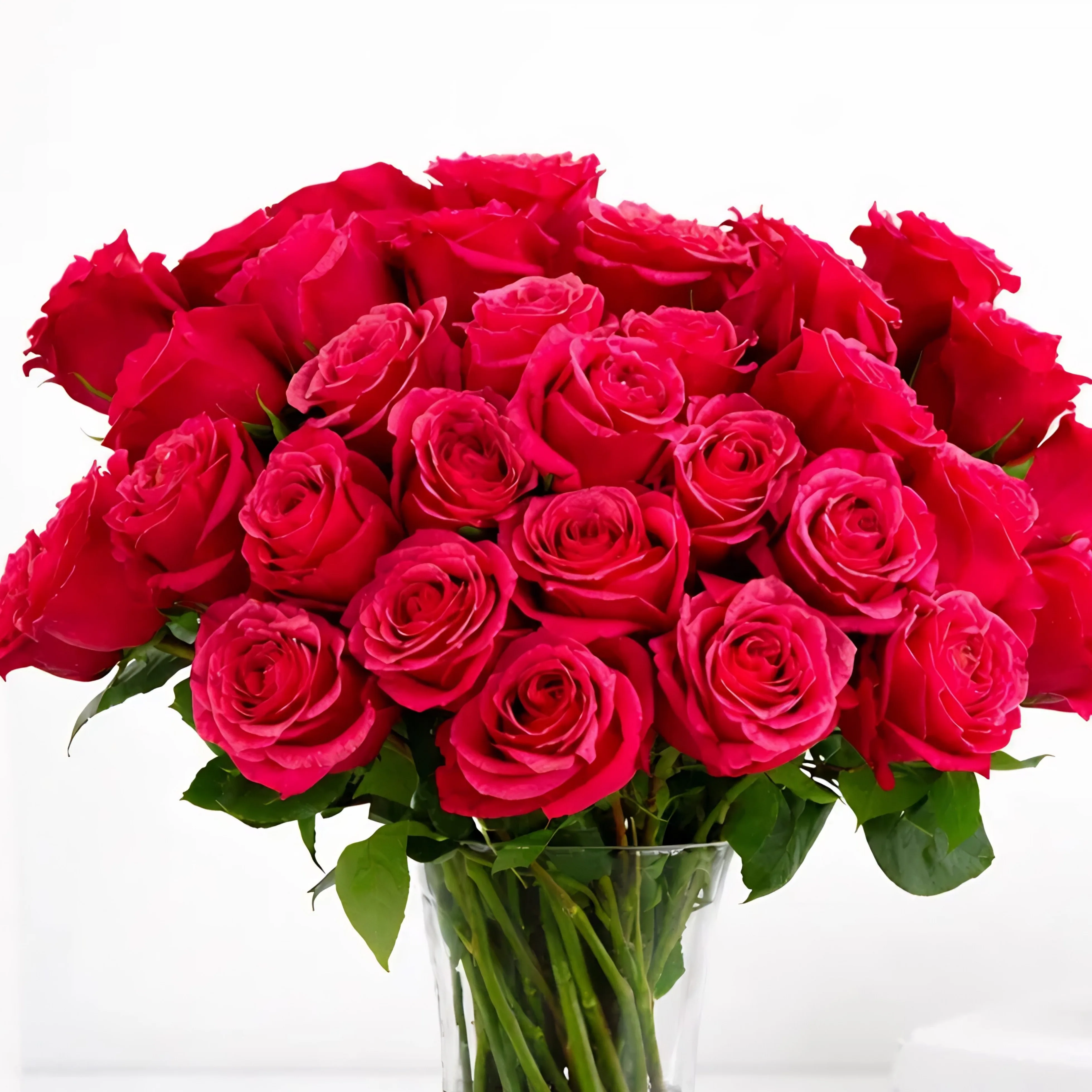 Ruby Pink 25 Roses in Glass Vase