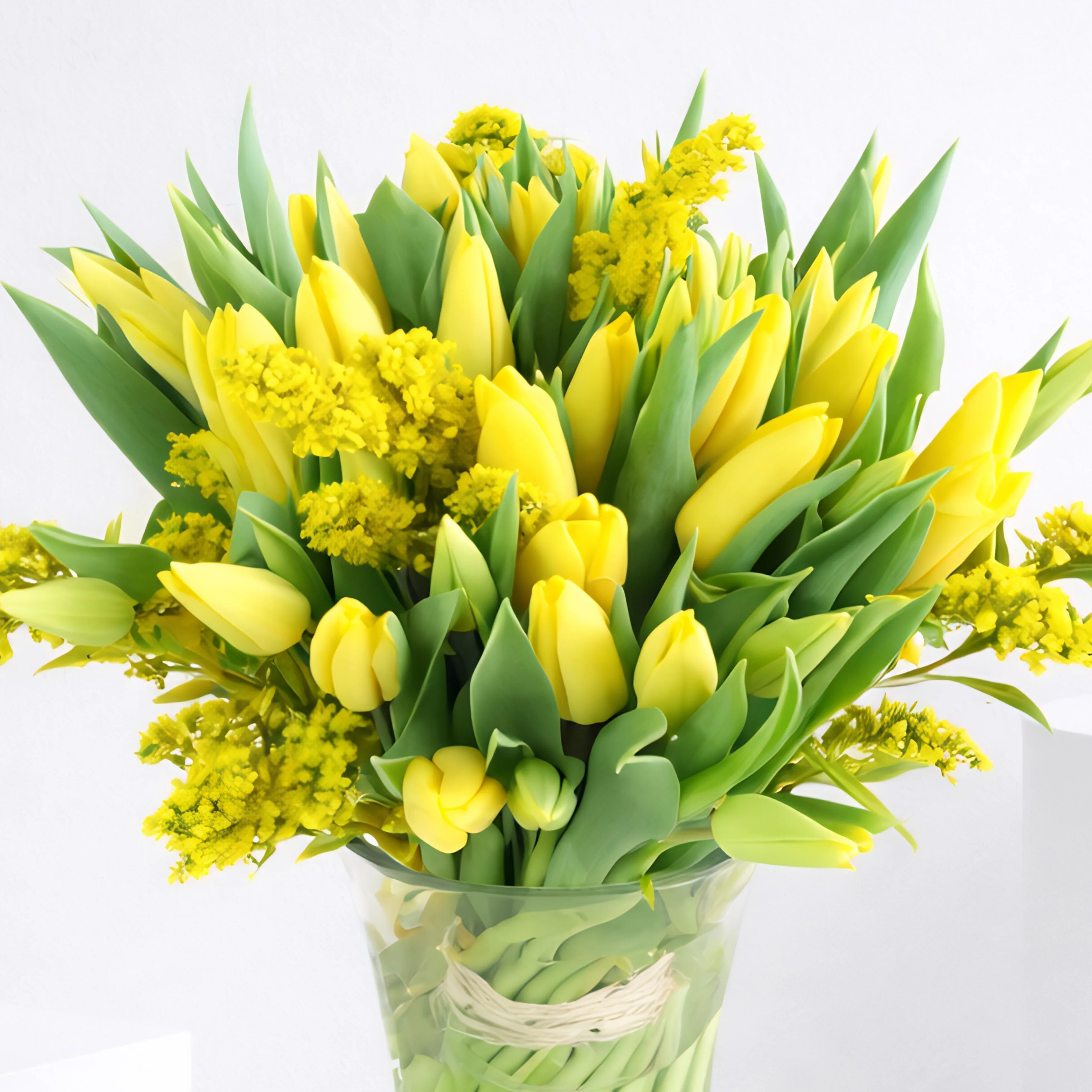 51 Golden Radiance Tulip Vase Collection