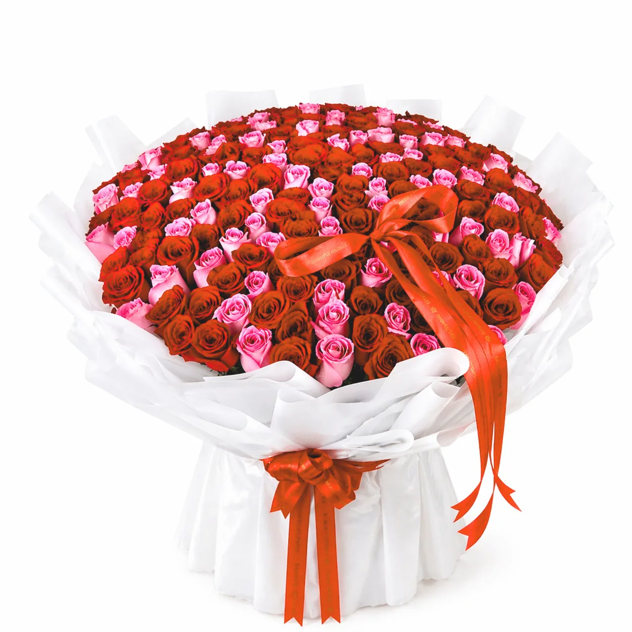 Large round bouquet of red and pink roses with white wrapping and red ribbon on a clean white background.