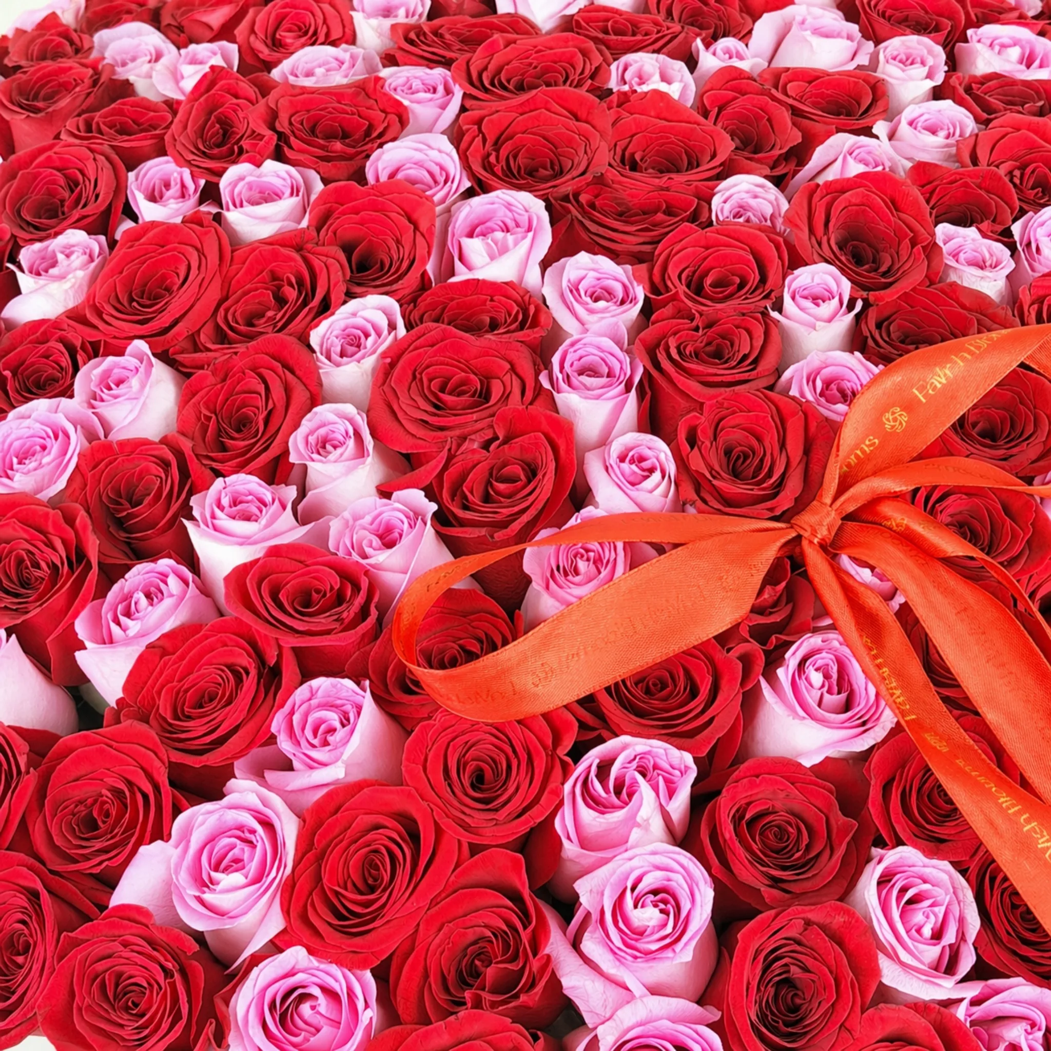 Detailed close-up of red and pink roses arranged in a luxury bouquet with red ribbon decoration.