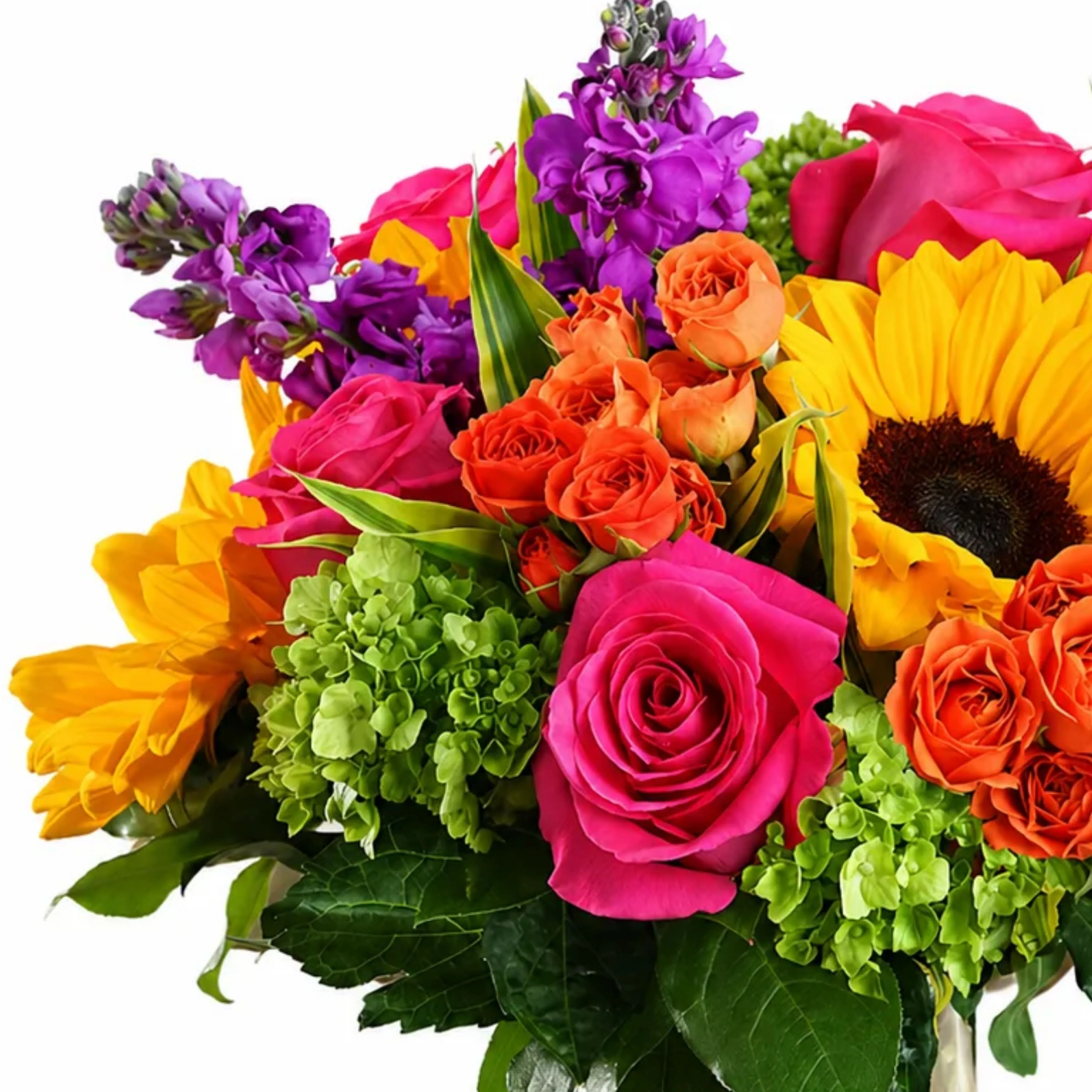 Colorful floral arrangement close-up with vibrant sunflower, pink roses, orange spray roses, purple flowers, green hydrangea, and lush leaves on a white background.