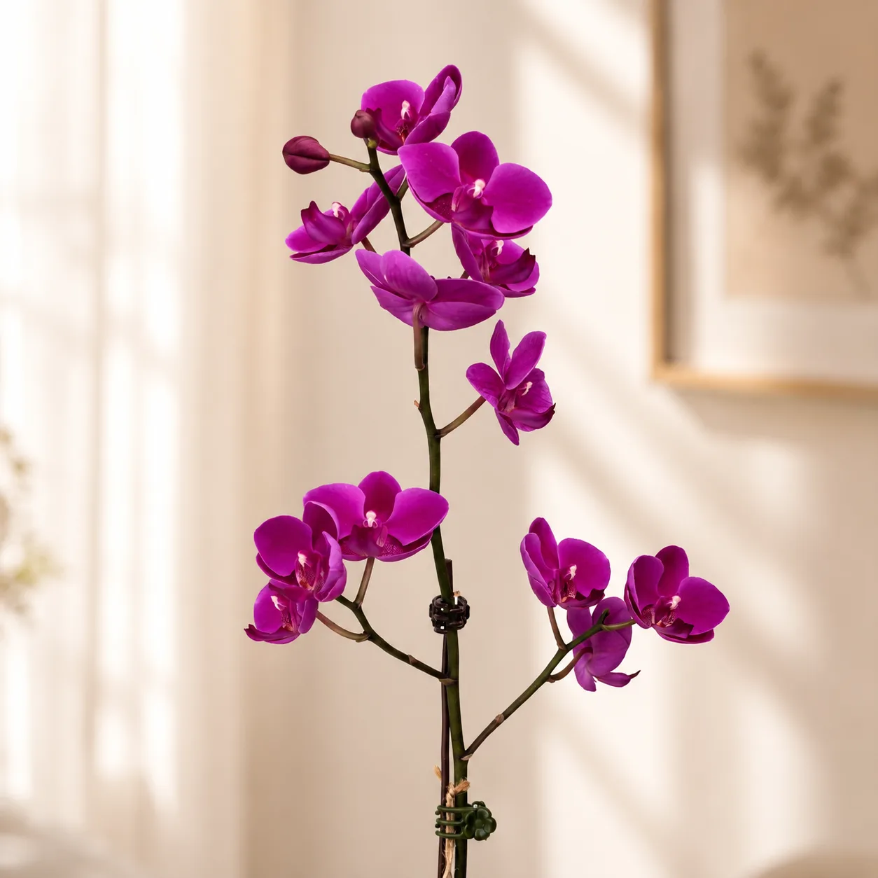Mother's Day Purple Orchid Plant Keepsake Mug Arrangement