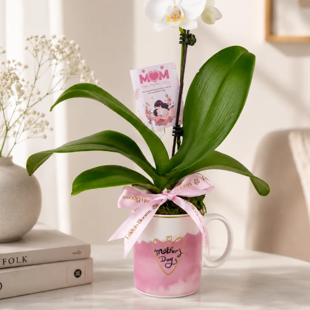 White Phalaenopsis orchid mug gift for Mother’s Day