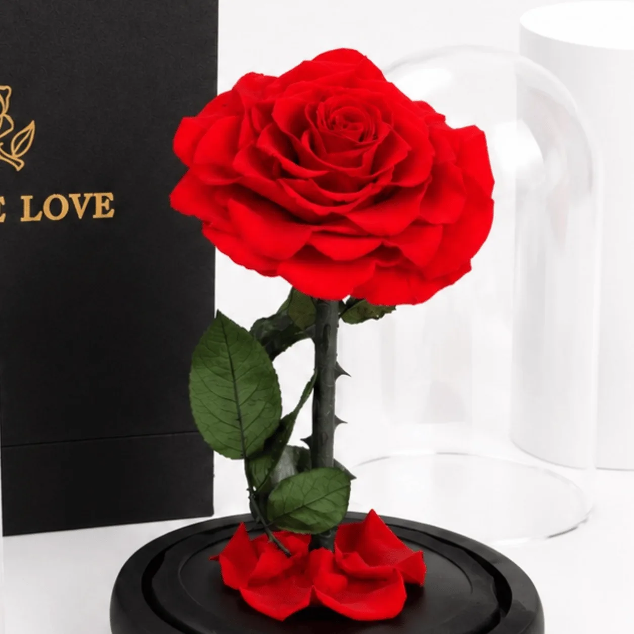 Elegant preserved red rose arrangement with love message table topper and gift box