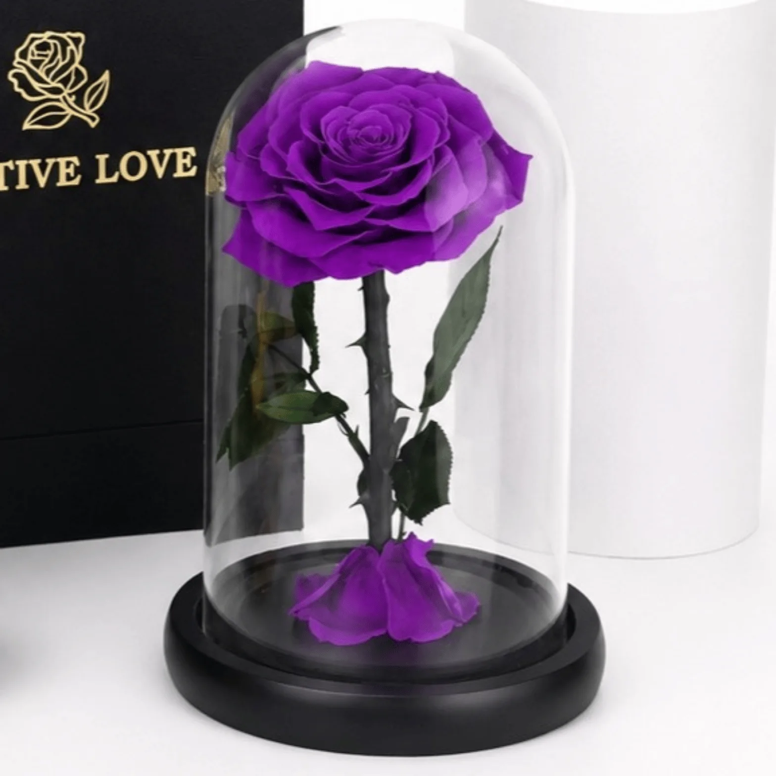 Purple Preserved Rose Graduation Gift