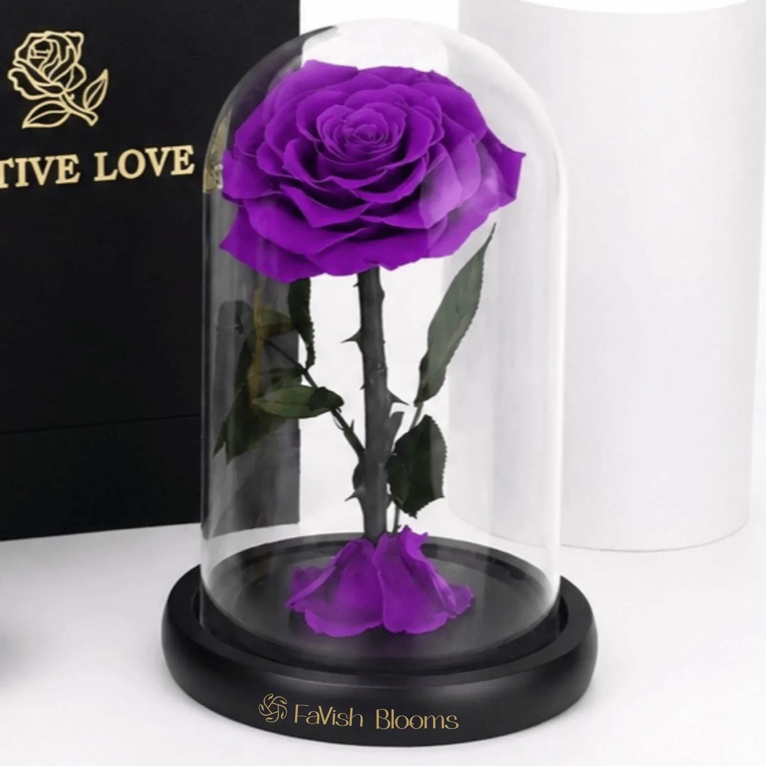 Purple Preserved Rose Dome Gift
