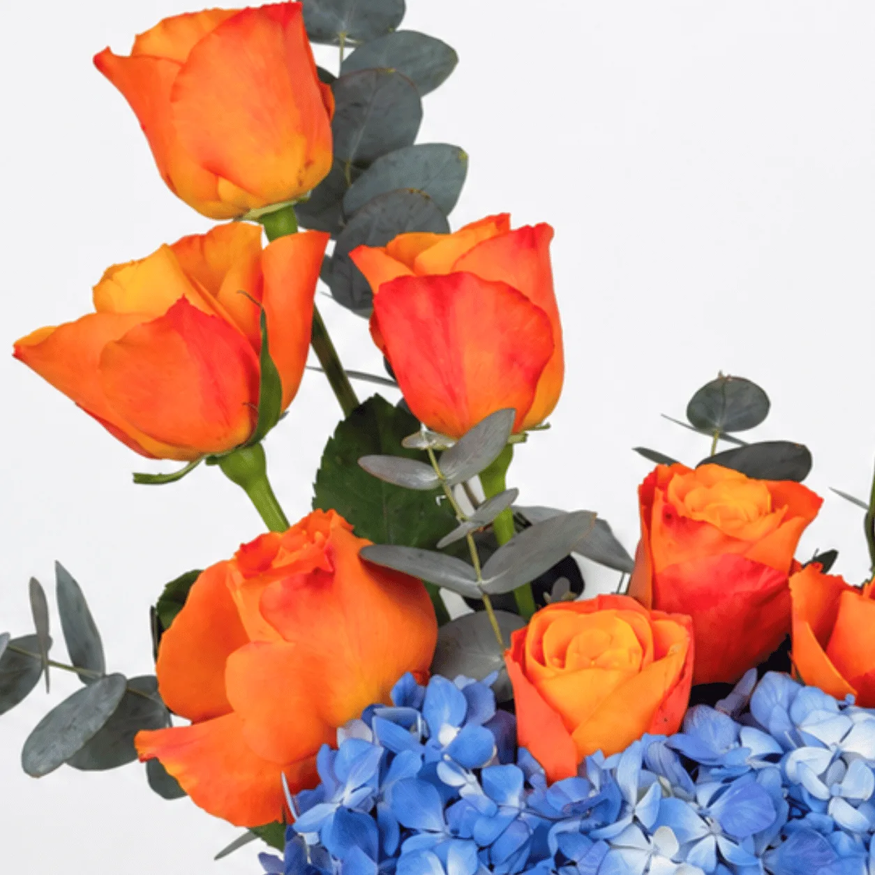 Close-up of orange roses with eucalyptus and blue hydrangea