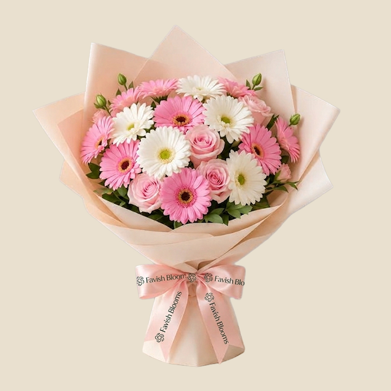 Gerbera