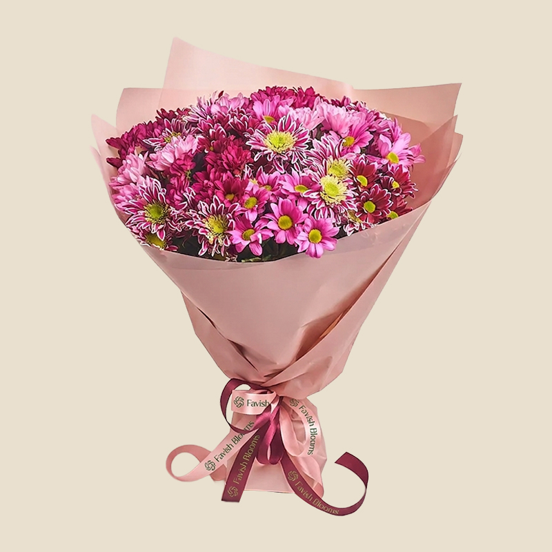 Chrysanthemum