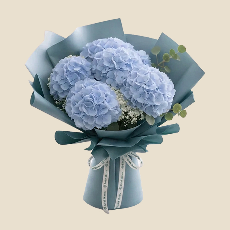Hydrangea