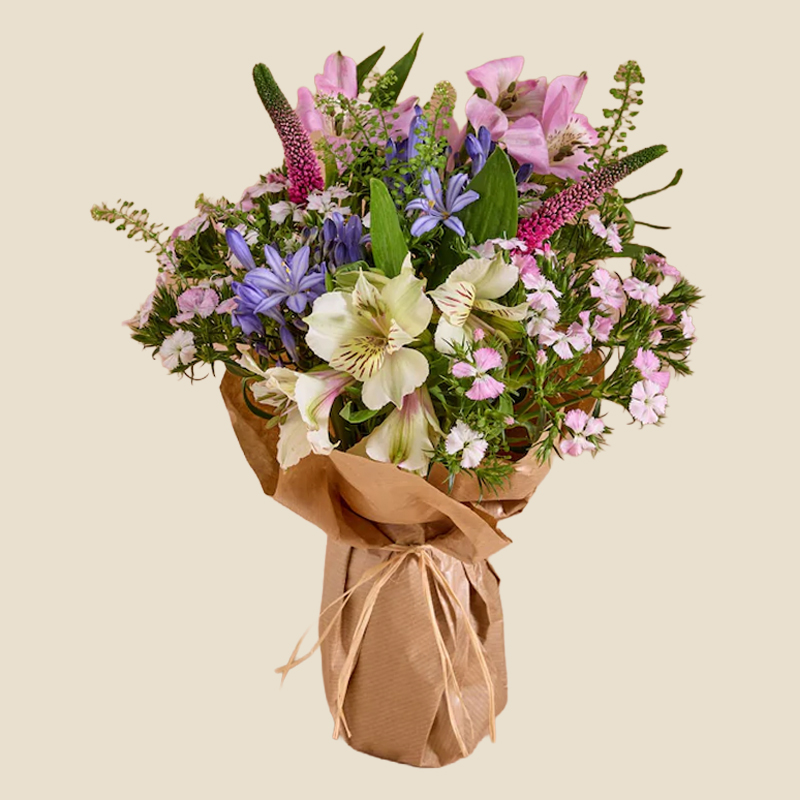 Alstroemeria